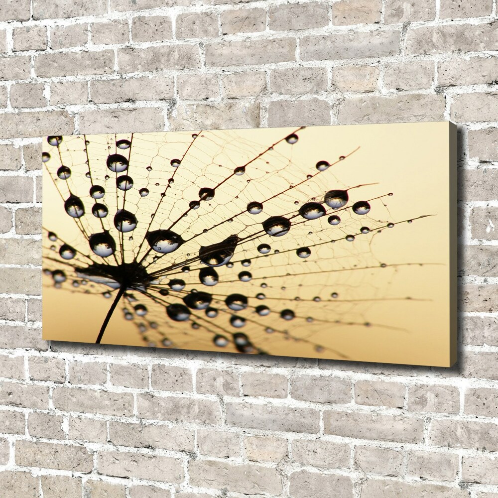 Canvas wall art Dandelion seed