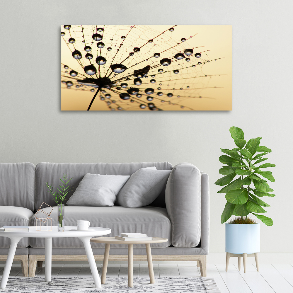 Canvas wall art Dandelion seed