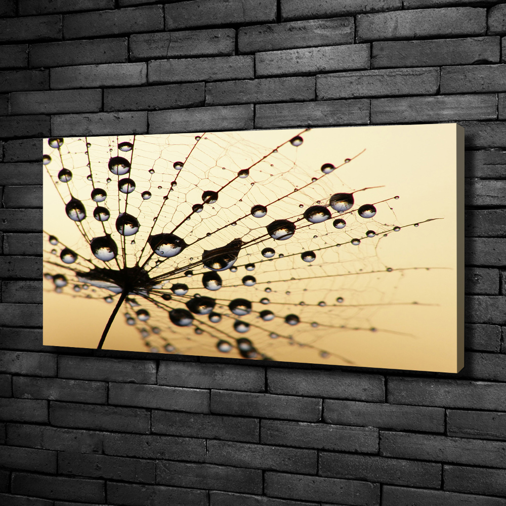 Canvas wall art Dandelion seed