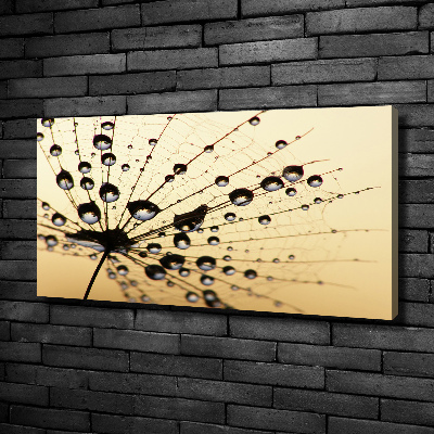 Canvas wall art Dandelion seed