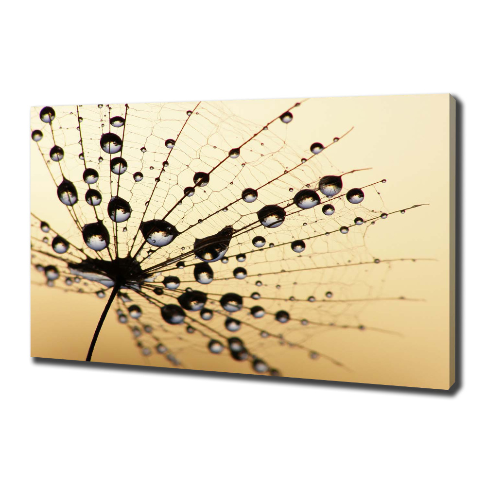 Canvas wall art Dandelion seed