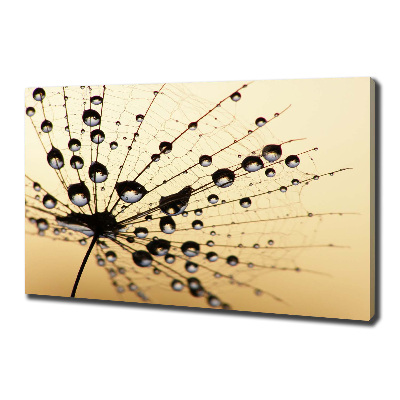 Canvas wall art Dandelion seed