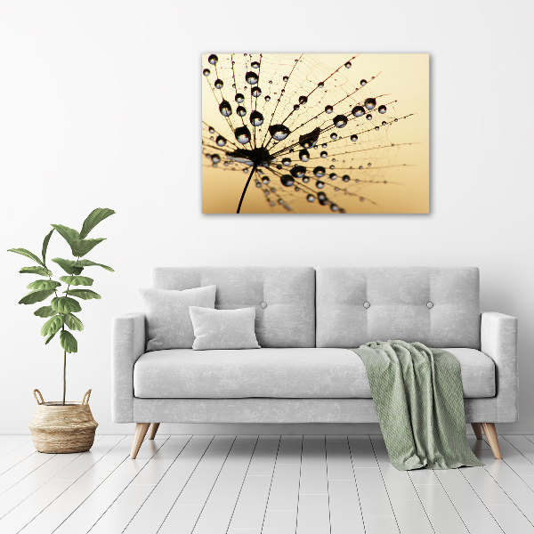 Canvas wall art Dandelion seed