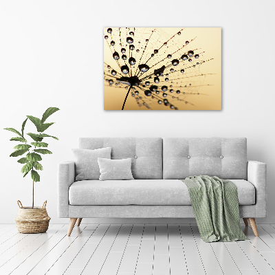 Canvas wall art Dandelion seed