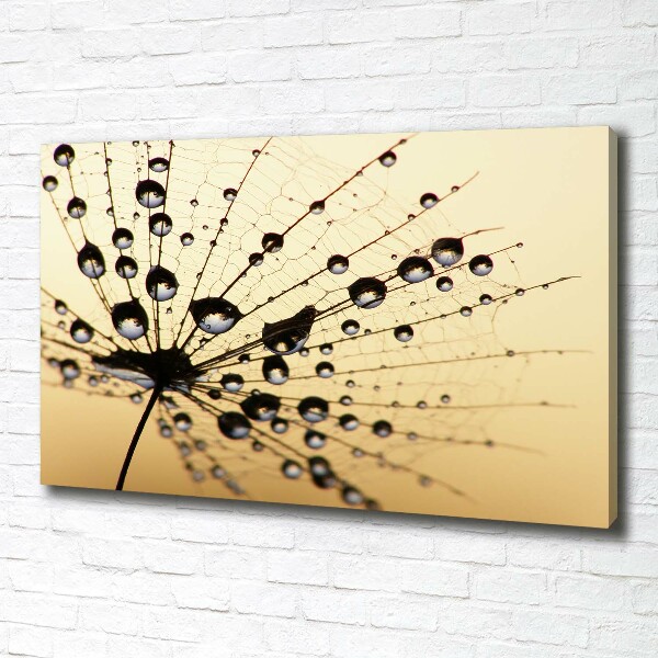 Canvas wall art Dandelion seed