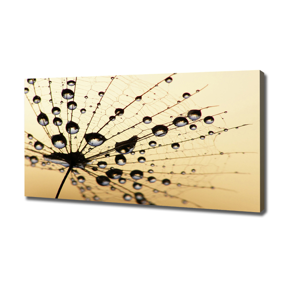 Canvas wall art Dandelion seed