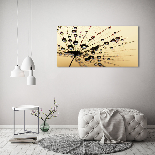 Canvas wall art Dandelion seed