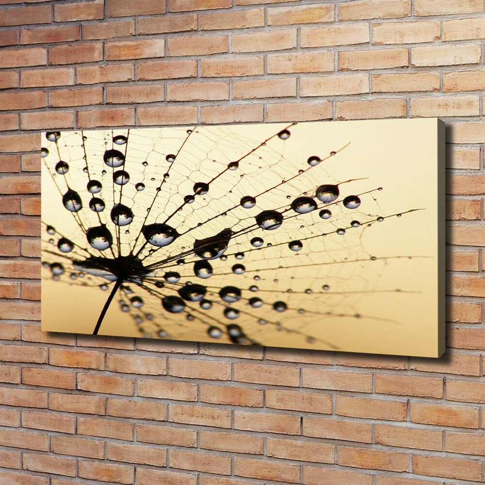 Canvas wall art Dandelion seed