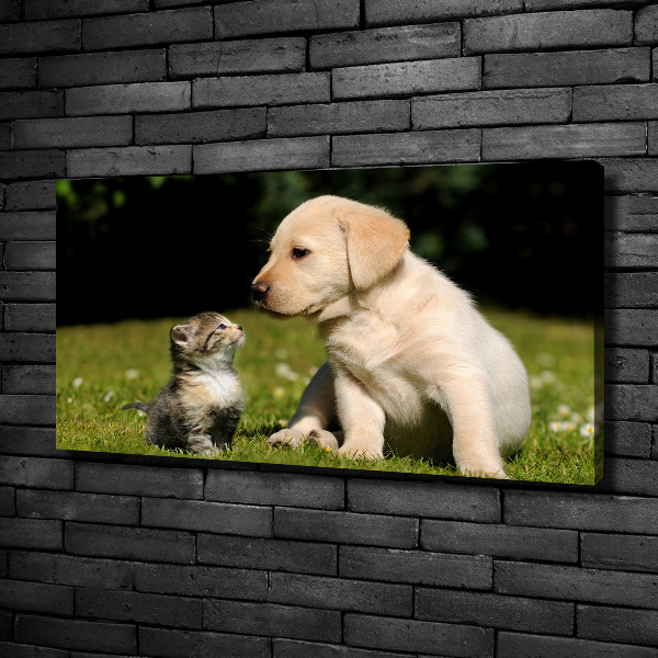 Canvas wall art A dog and a cat in the meadow