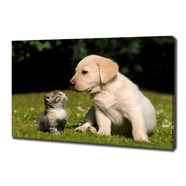 Canvas wall art A dog and a cat in the meadow