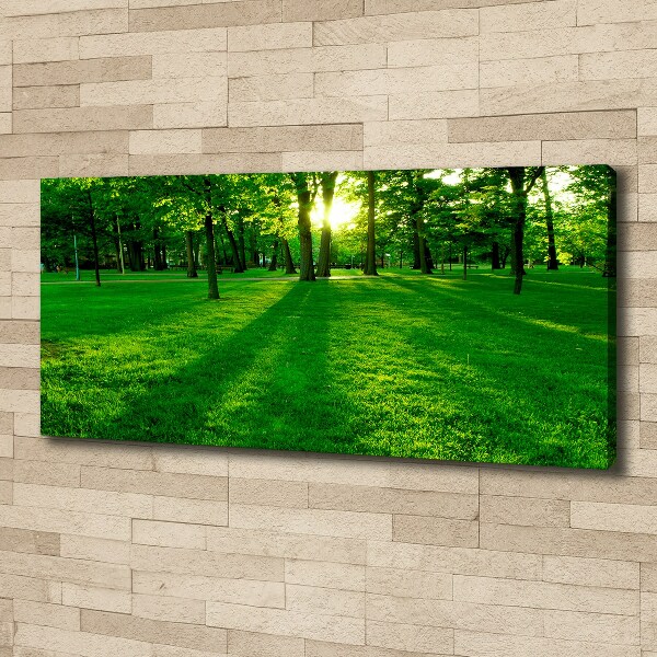 Canvas wall art Grass in the park