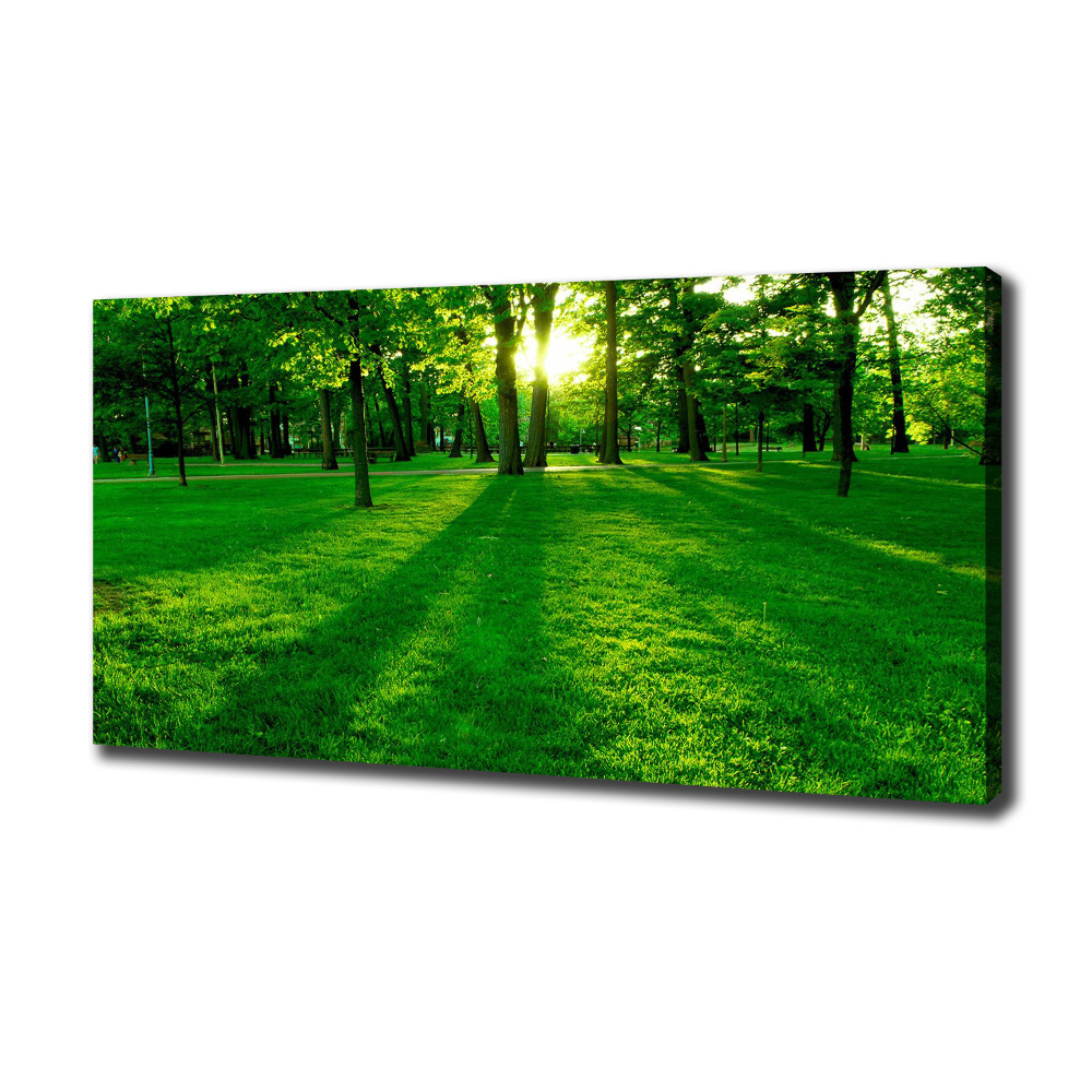 Canvas wall art Grass in the park