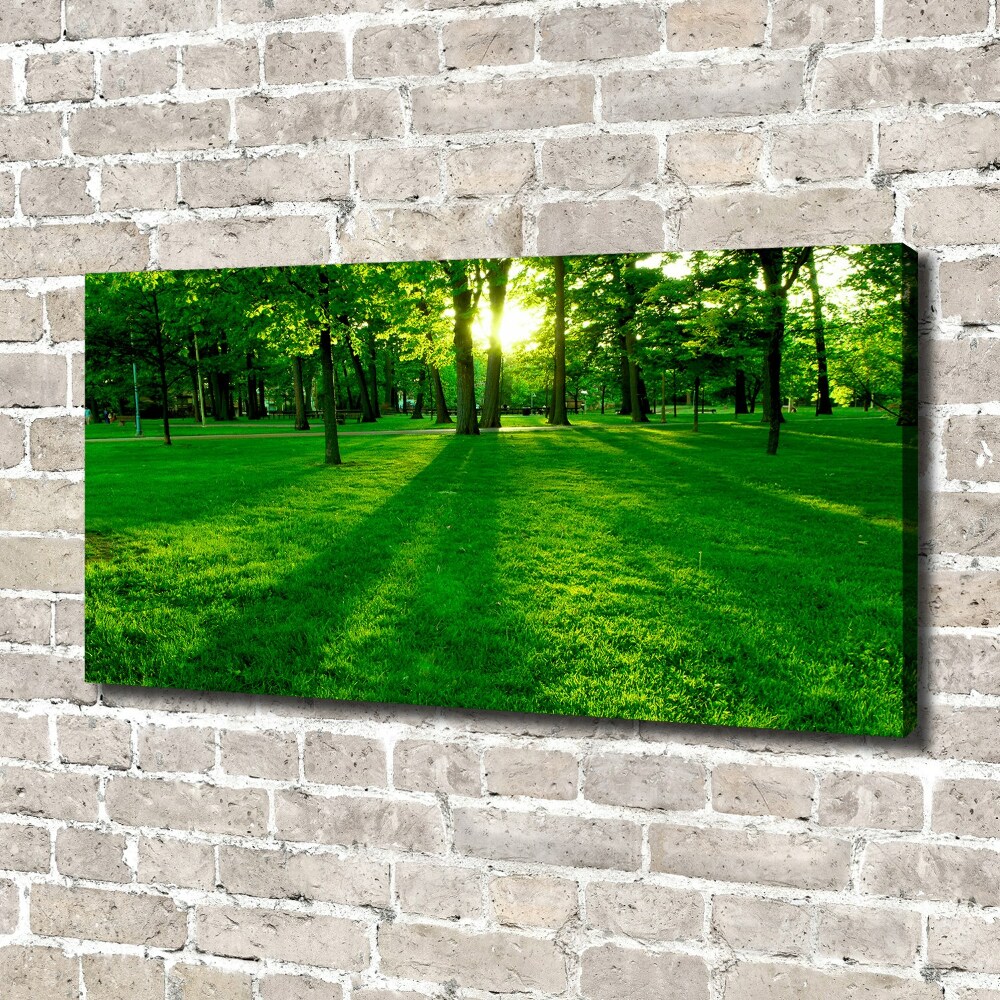 Canvas wall art Grass in the park