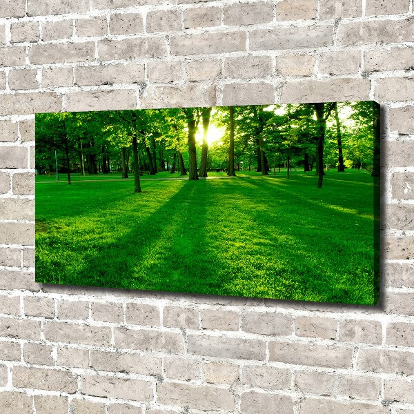 Canvas wall art Grass in the park