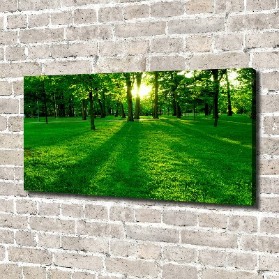 Canvas wall art Grass in the park