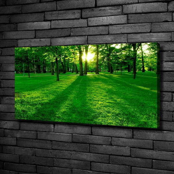 Canvas wall art Grass in the park