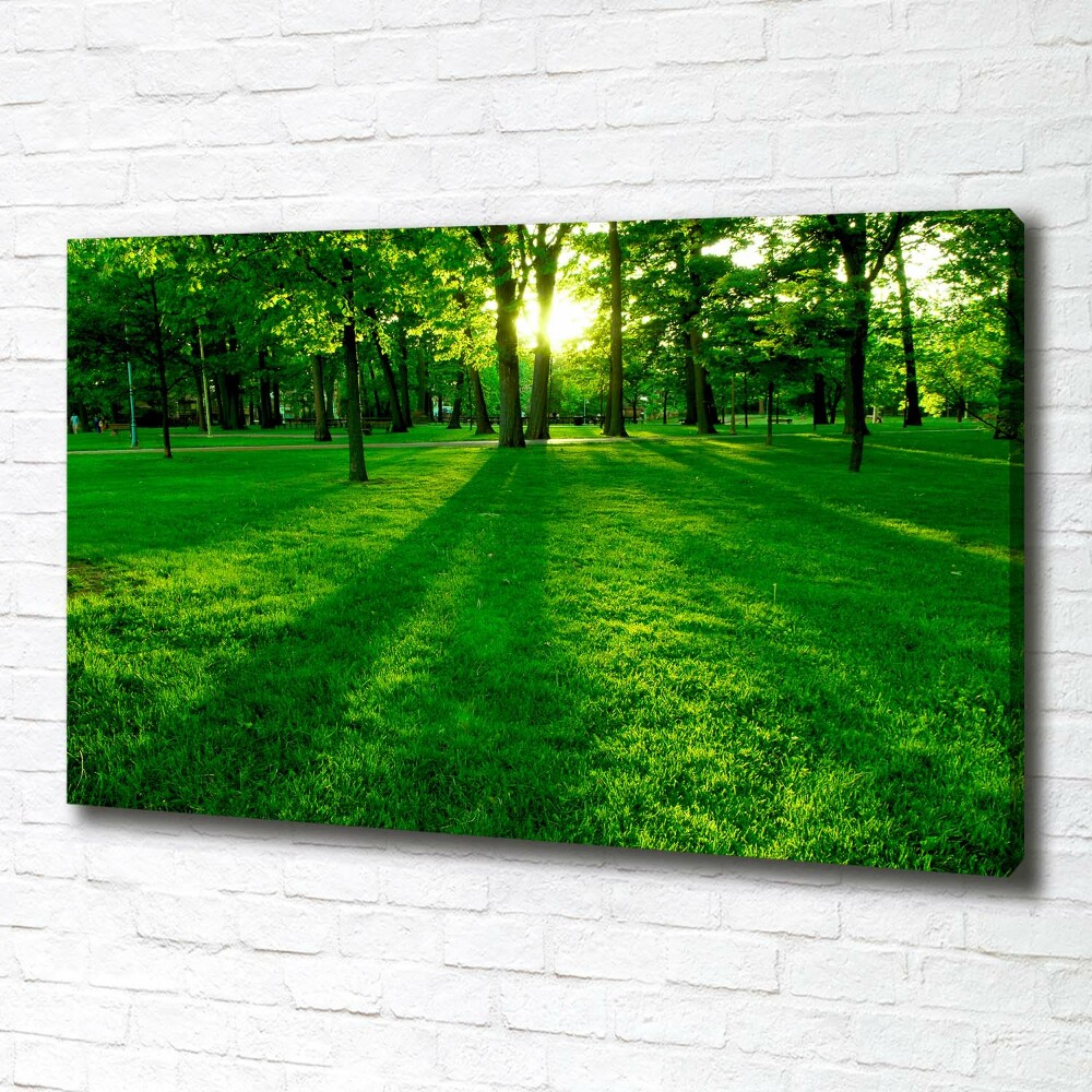 Canvas wall art Grass in the park