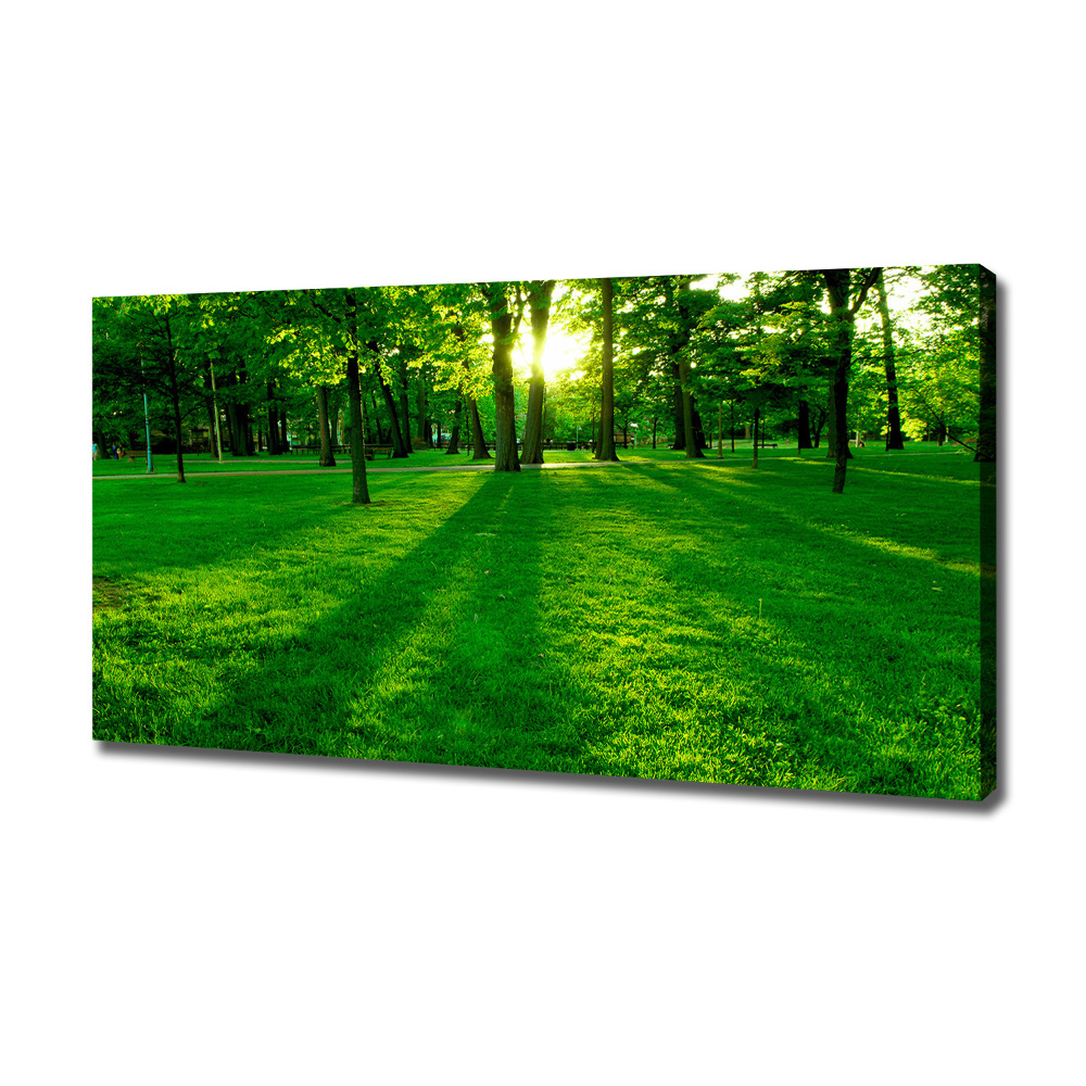 Canvas wall art Grass in the park