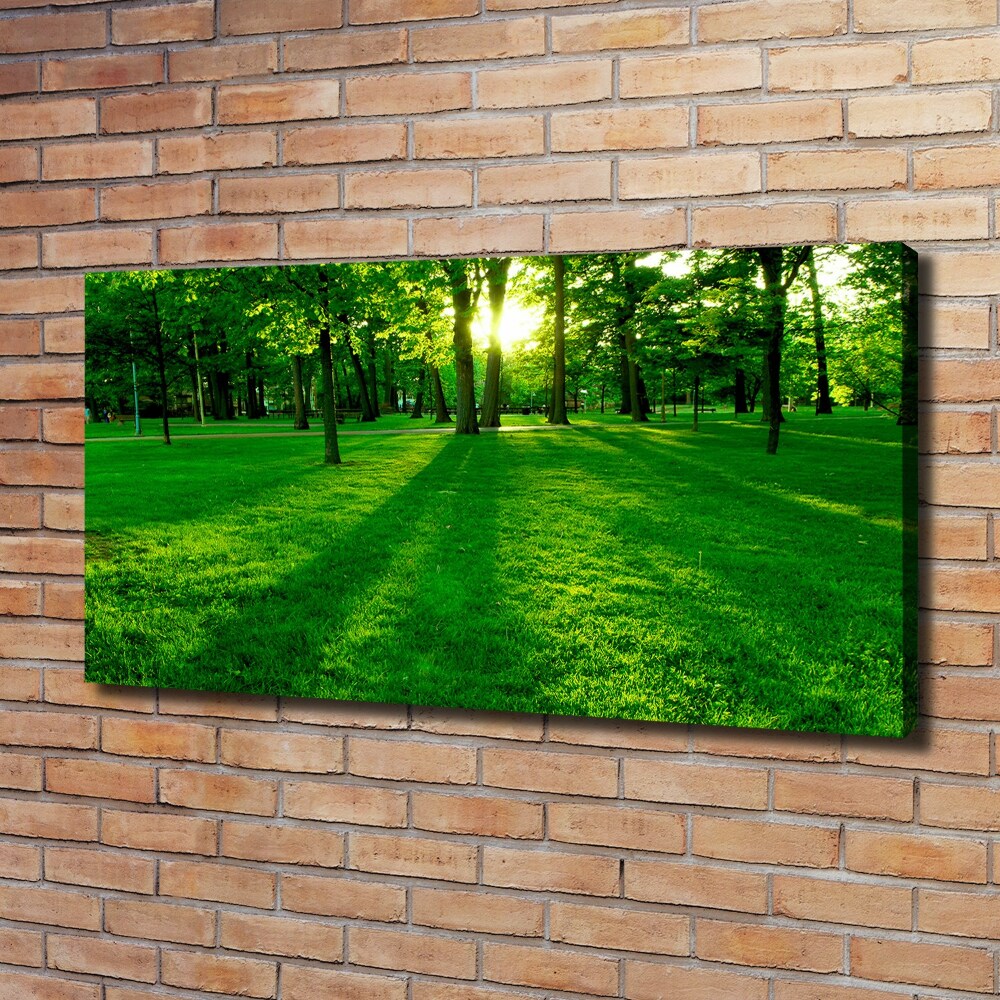 Canvas wall art Grass in the park