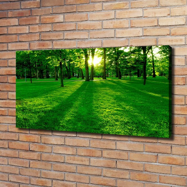 Canvas wall art Grass in the park