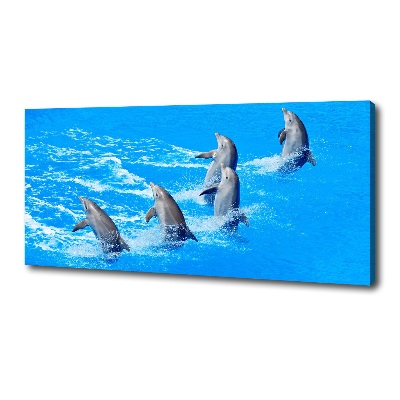 Canvas wall art Dolphins