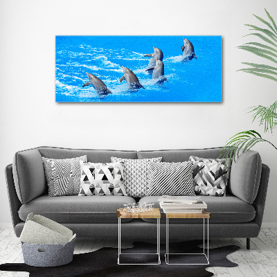 Canvas wall art Dolphins