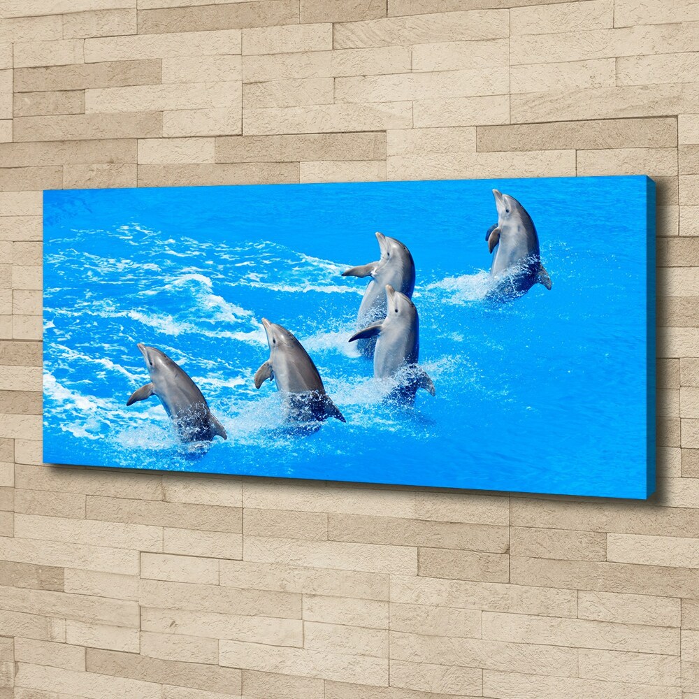 Canvas wall art Dolphins