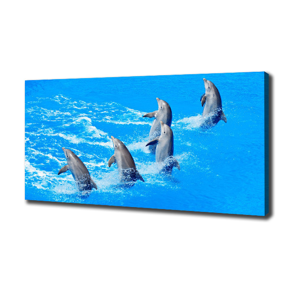 Canvas wall art Dolphins