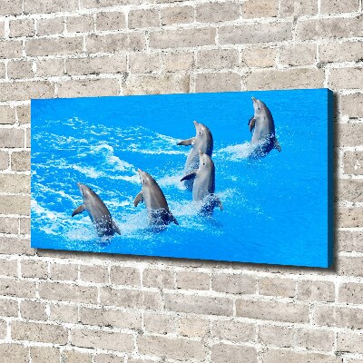 Canvas wall art Dolphins