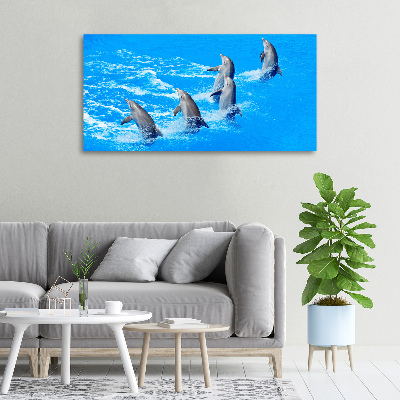 Canvas wall art Dolphins