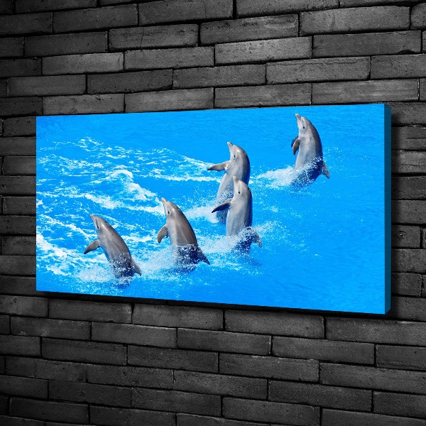 Canvas wall art Dolphins