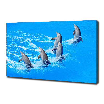 Canvas wall art Dolphins