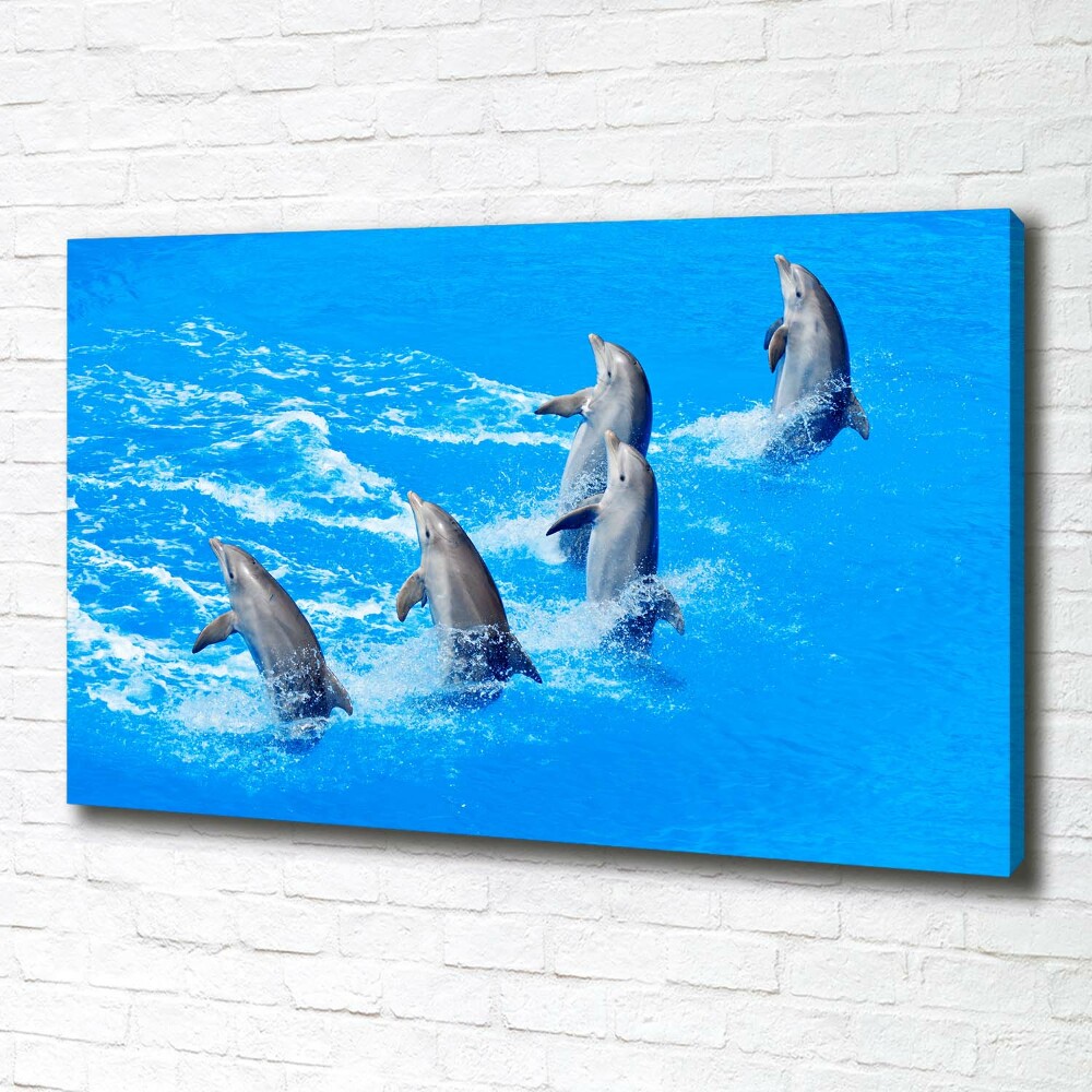 Canvas wall art Dolphins