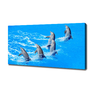 Canvas wall art Dolphins