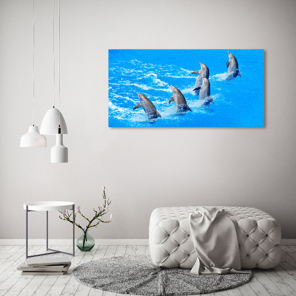 Canvas wall art Dolphins