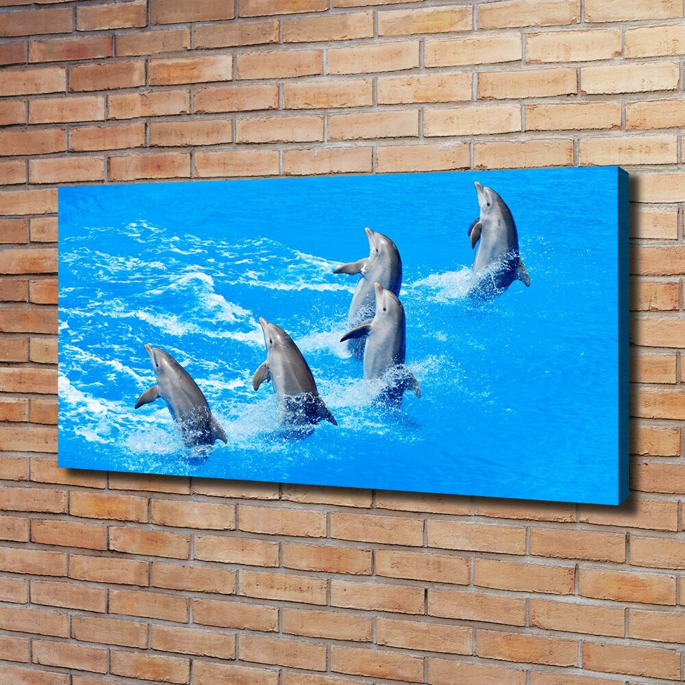 Canvas wall art Dolphins