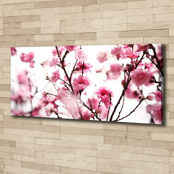 Canvas wall art Plum flower