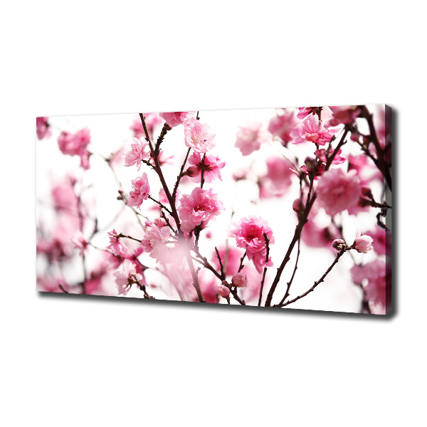 Canvas wall art Plum flower