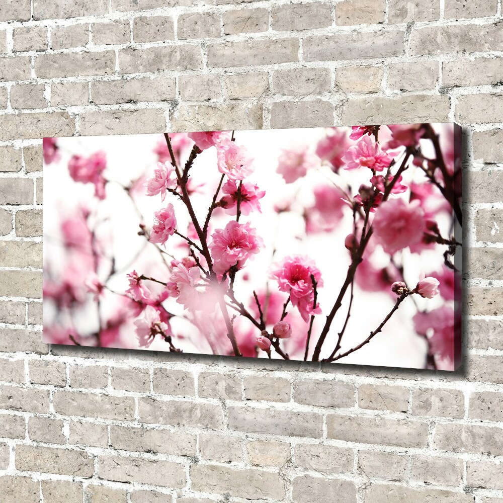 Canvas wall art Plum flower