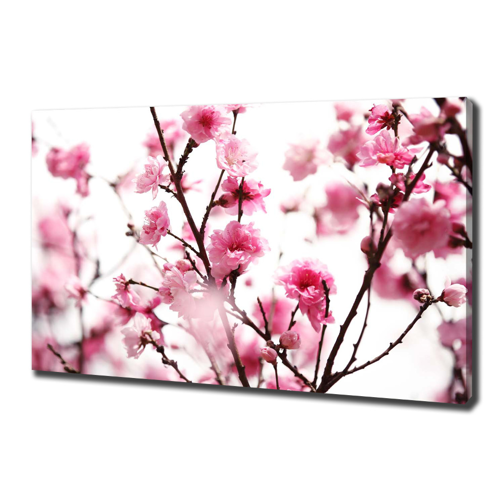 Canvas wall art Plum flower