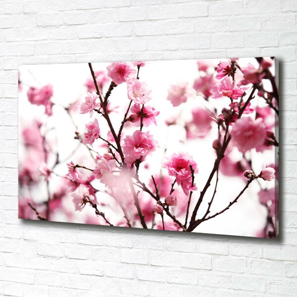 Canvas wall art Plum flower