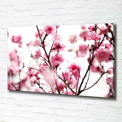 Canvas wall art Plum flower