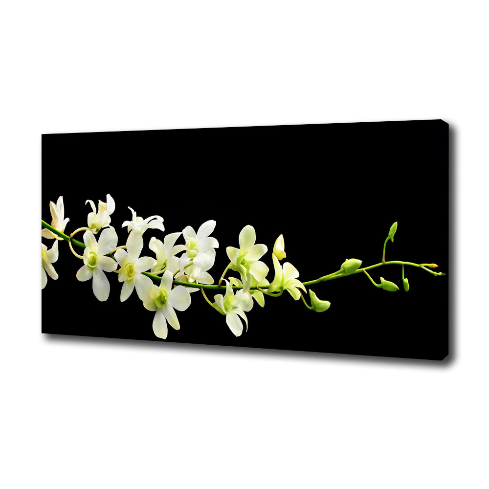 Canvas wall art Orchid