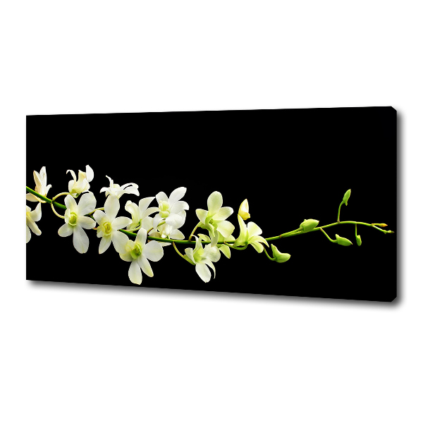 Canvas wall art Orchid