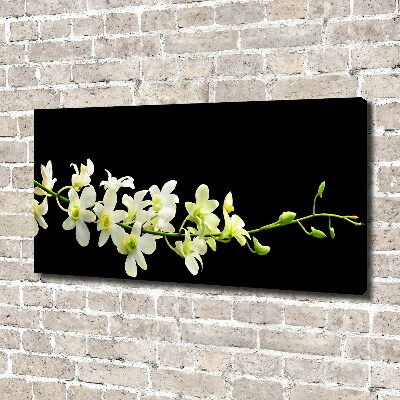 Canvas wall art Orchid