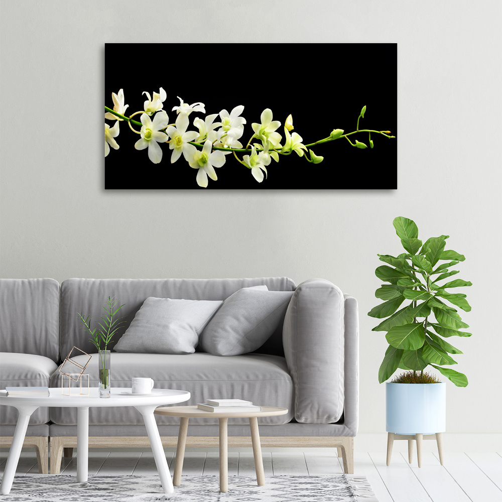 Canvas wall art Orchid