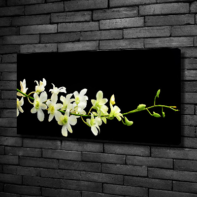 Canvas wall art Orchid