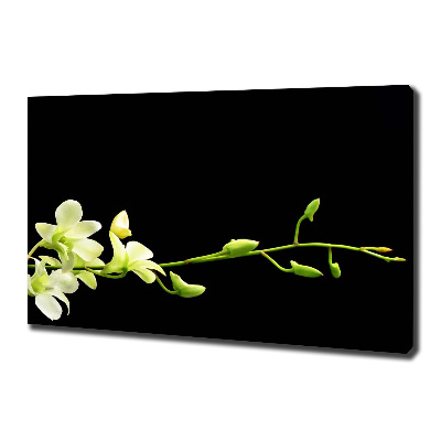 Canvas wall art Orchid