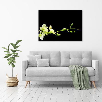 Canvas wall art Orchid