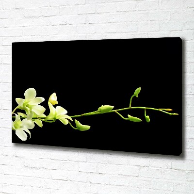 Canvas wall art Orchid